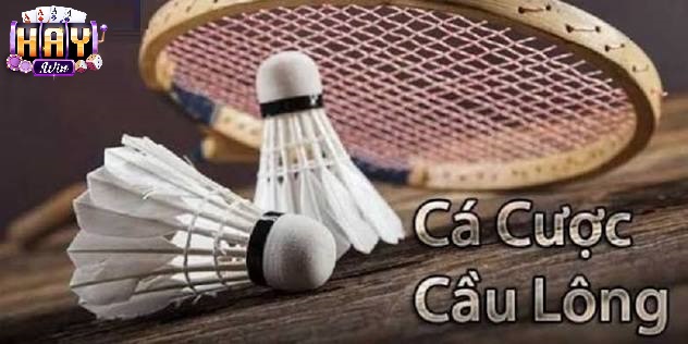 Cược Cầu Lông Haywin Là Gì? Vì Sao Lại Thu Hút Cược Thủ?