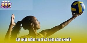 Các Loại Kèo Cược Bóng Chuyền Phổ Biến Tại Haywin