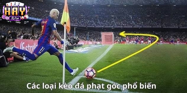 Kèo Phạt Góc Haywin Là Gì?