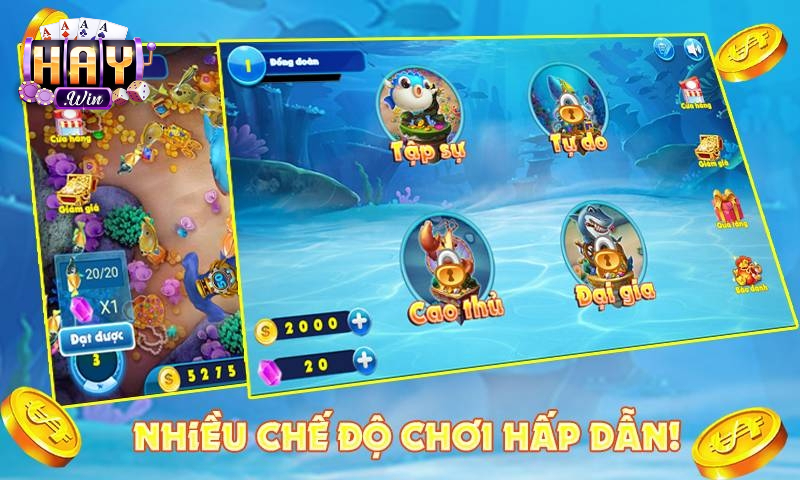 Lưu ý khi trải nghiệm bắn cá vàng tại haywin